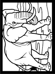 Elephant 19
